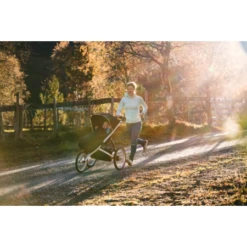 Poussette Glide 2 THULE : Comparateur, Avis, Prix -Baby Jogger Soldes Boutique 00f577d2870b669830d161646bed