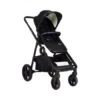 Poussette DuetPro Plein Noir QTUS : Comparateur, Avis, Prix -Baby Jogger Soldes Boutique 689a7b20875c4d74afab8778b216